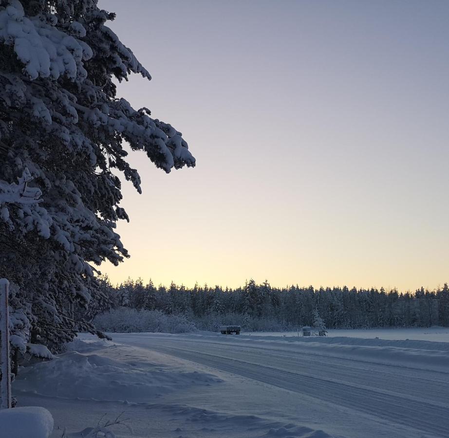 Cosy, Homely House With A Large Courtyard Saarenkylä Buitenkant foto